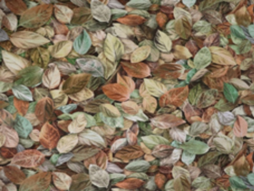 Обои Elysium КВ-Ф Шелест листья желто-зеленые 1,06*10м