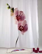 Шторка для ванной комнаты Fora, Орхидея, с кольцами, 1,8*2м