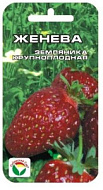 Земляника "Женева" 10-15 шт