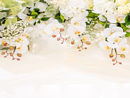 Фотообои Flizelini Нежные орхидеи 2,7*2,7м