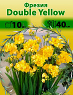 Фрезия Дабл Йеллоу махровая 10шт /Freesia Double Yellow