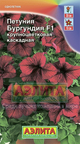 Петуния Бургундия F1 5шт
