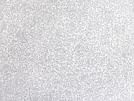 25512 Обои Elysium винил. на бумажной основе Веточки 0,53 х 10м