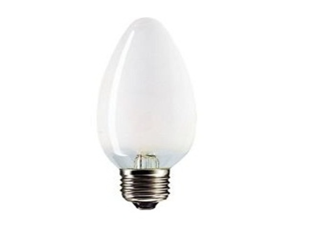 Лампа накаливания Favor 8109170 ДСМТ 230-40Вт Е27