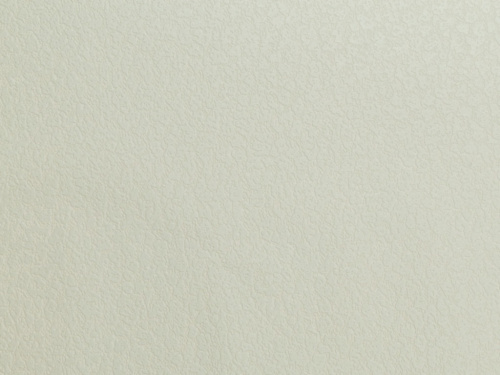 Обои HomeColor Вспененный винил на флизелиновой основе 1,06*10