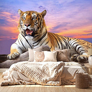 Фотообои Flizelini Тигр на закате 2,7*2,7м