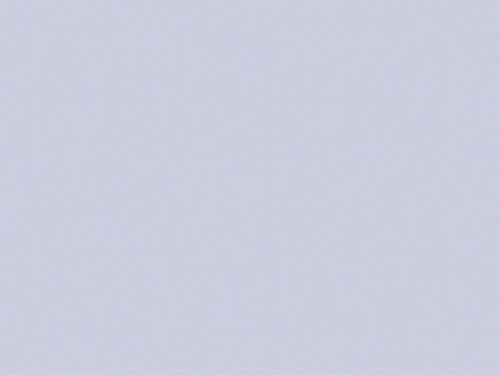 Обои Erismann Spring collection виниловые на флизелиновой основе 10,05 м *10 м