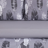 Постельное белье "Этель" евро Перья (вид 2)  200*217 см,220*240 см,70*70 см -2 шт,поплин 125 г/м2