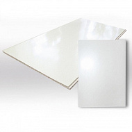 Панель пластиковая 3000 х 500  Белый лак