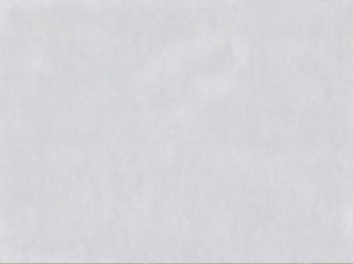 Обои Thea Винил Горячего Тиснения дерево бежевое 1,06*10м