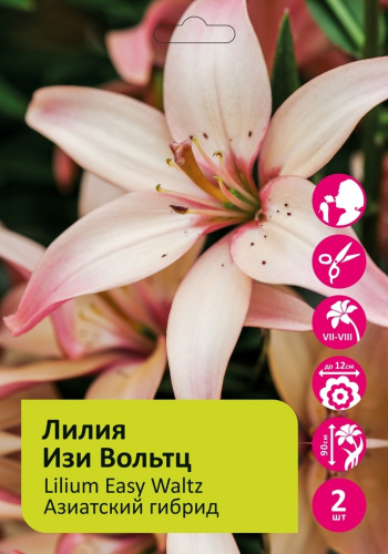 Лилия Изи Вольтц 2шт