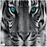 02-20 Штора для ванной BRIMIX Тигр без колец 180х200 мм