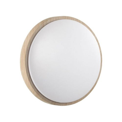 Настенно-потолочный светильник Sonex PALE LOSTA LED 4000К 30W 6кв.м