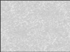 Обои Астры компакт.винил белый 1,06*10м