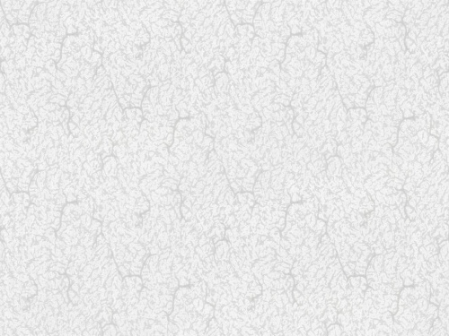 Обои HomeColor Вспененный винил на флизелиновой основе 1,06*10