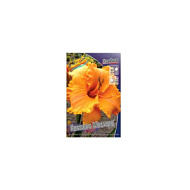 Лилейник Колонил Мустард 1шт/Hemerocallis Colonel Musterd