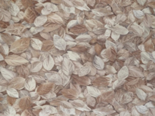 Обои Elysium КВ-Ф Шелест листья бежево-кофейные 1,06*10м