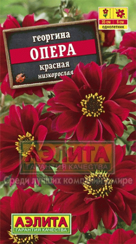 Георгина Опера красная 7 шт