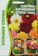 Георгина Опера микс карликовая 15-20шт /10