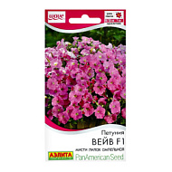 Петуния Вейв F1 мисти лилак ампельная 4шт