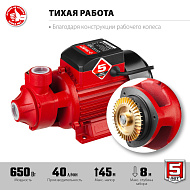 Поверхностный вихревой насос ЗУБР 650 Вт, корпус из чугуна