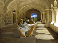 Фотообои Твоя Планета Тигр 97*204 см