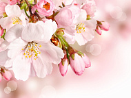 Фотообои Flizelini Яблоневый цвет 3,6*2,7 м