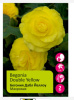 Бегония Дабл Йеллоу 4/5 2шт /Begonia Double Yellow