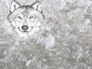 Жидкие шелковые обои ДекорСтенов №497 1кг