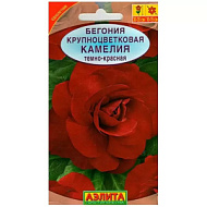 Бегония Камелия темно-красная крупноцветковая  10шт