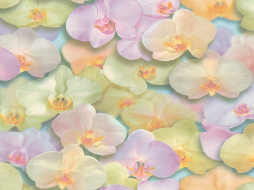 Обои HomeColor горячее тиснение  на флизелиновой основе 1,06*10м