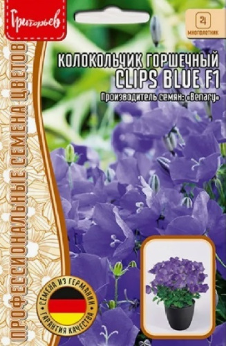 Колокольчик горшечный Clips Blue F1 5др