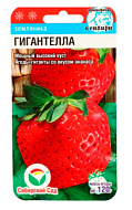 Земляника Гигантелла  10шт