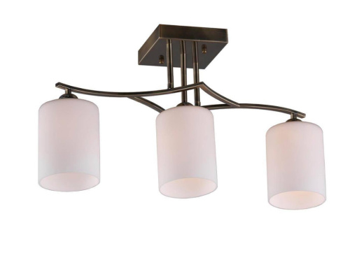 Светильник на штанге Omnilux Pisticci OML-55317-03