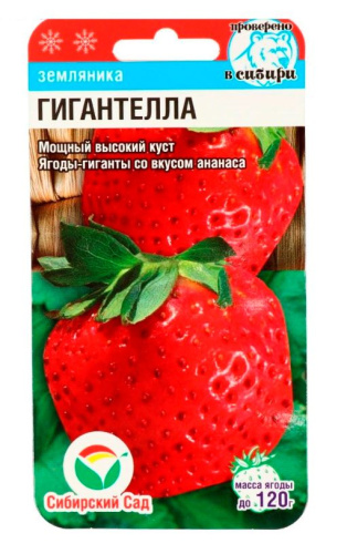 Земляника Гигантелла  10шт