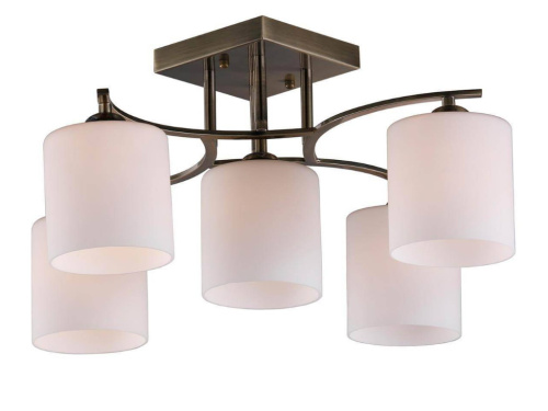 Потолочная люстра Pisticci OML-55317-05