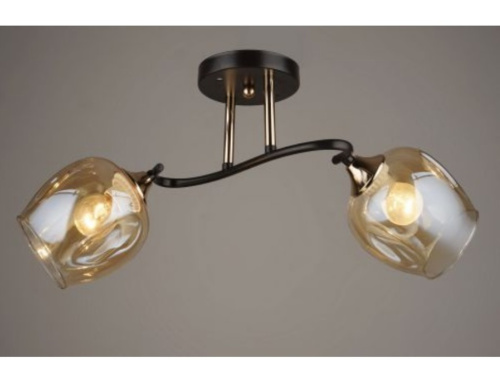 Светильник 81845/2