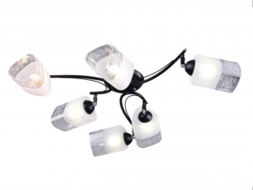 30999 Светильник РС20891 BK+CR/6C