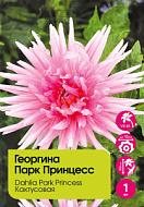 Георгина Парк Принцесс кактусовая 1шт