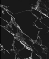 Панель АБС Крестола Black  600*3000*1,5\0,75мм