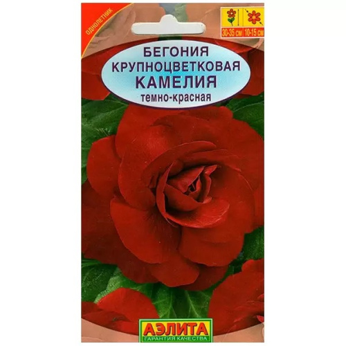 Бегония Камелия темно-красная крупноцветковая  10шт