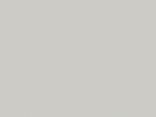 Обои Erismann Spring collection виниловые на флизелиновой основе 10,05 м *10 м