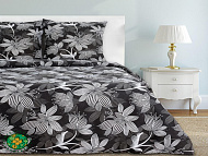 Постельное белье "Этель" дуэт Сумерки 143*215 см 2 шт,220*240 см,70*70 см 2 шт,100% хлопок,бязь