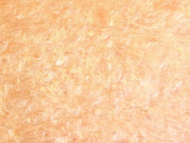 Жидкие шелковые обои ДекорСтенов" бежево-оранжевый" № 311 (12 шт)