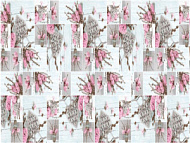 Клеенка BATISTA на нетканой основе 1,40*20м