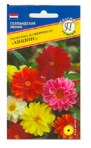 Георгина Анвинс изменчивая  20шт/10