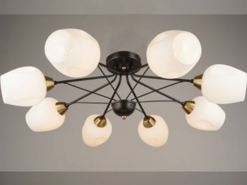 Светильник 84222 BK/8