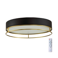 Настенно-потолочный светильник Sonex LOFTY LED 65Вт 3000-6000K D450 IP20