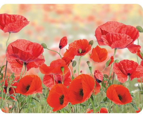 Салфетка ПВХ 308*235 Бархатные маки (6шт)