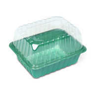 Мини-парник для рассады 21 × 16 × 6.5, без вставок